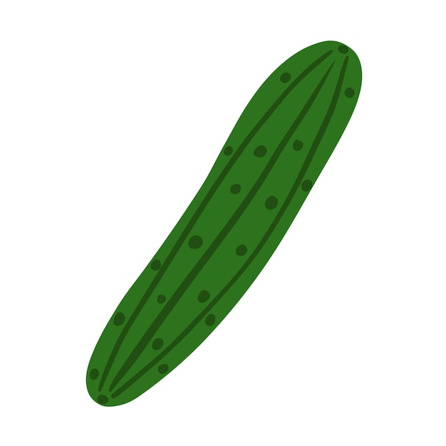 Pepino dibujado a mano aislado sobre fondo blanco Doodle vegetales