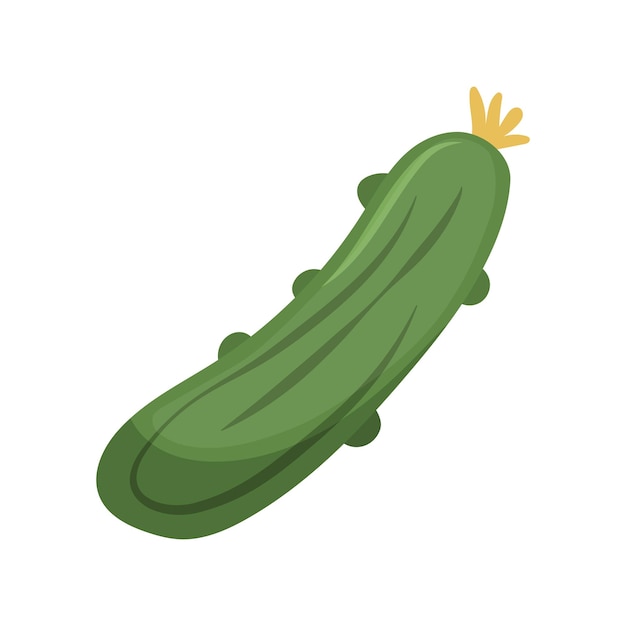 Pepino fresco verde Verduras de granja Ilustración vectorial plana aislada sobre fondo blanco