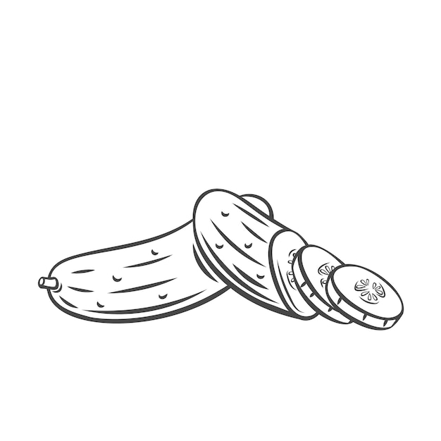 Pepino de vector. Icono de contorno vegetal de granja, dibujo monocromo ilustración