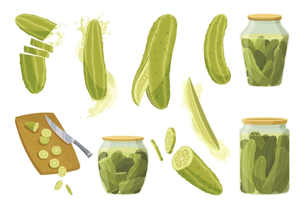 pepinos encurtidos caseros Cliparts de alimentos marinados para el embalaje etiqueta cartel del menú o vitrina verduras fermentadas gherkin crujiente con sal Alimentos vegetarianos saludables