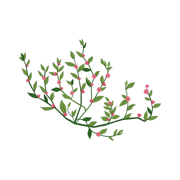 Pequeña flor silvestre rosada Ilustración detallada dibujada a mano