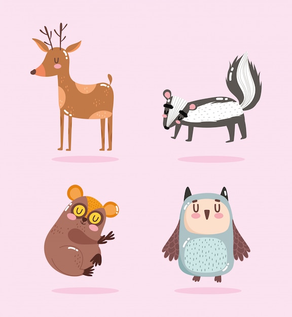 pequeña mofeta, ciervo, oso y búho