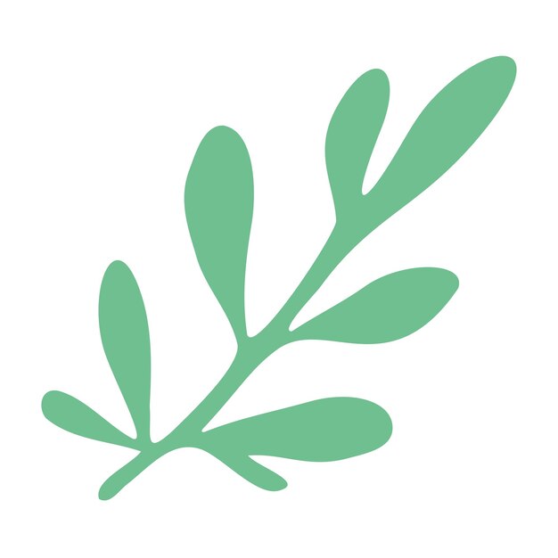 Pequeña ramita de planta medicinal Fragancia Ruta
