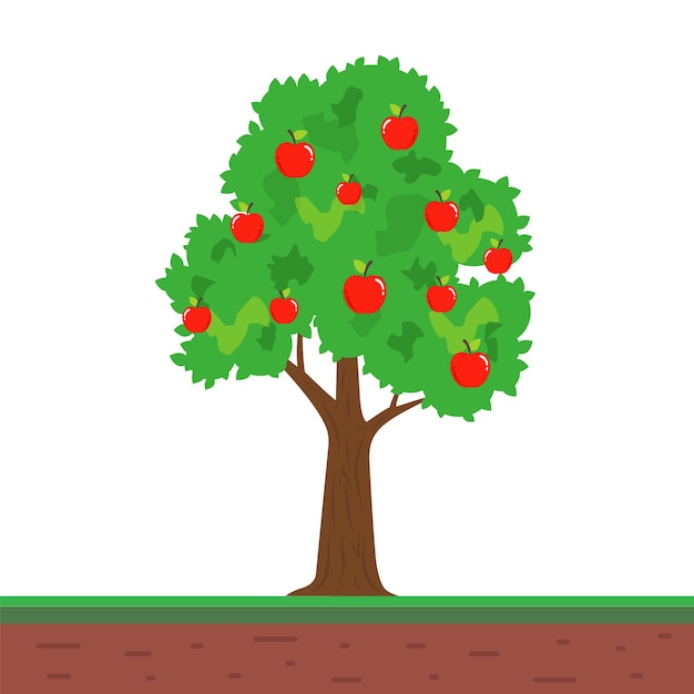 Vector pequeño árbol con frutos de manzana. fructífero manzano en el jardín. ilustración vectorial plana.