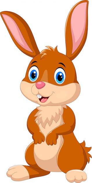 Pequeño conejito lindo de dibujos animados