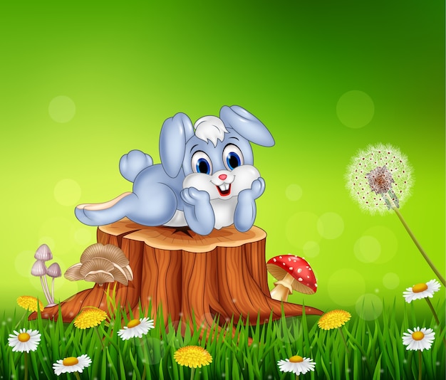 Pequeño conejito lindo en tocón de árbol en fondo de la temporada de verano