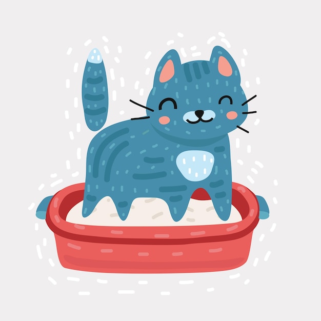 Pequeño gatito gris en caja de arena de plástico