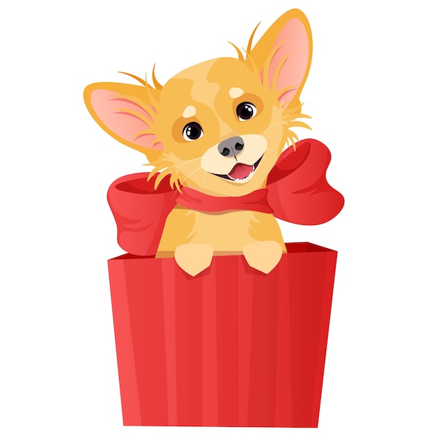 El pequeño y lindo perro chihuahua se sienta en una caja de regalo roja