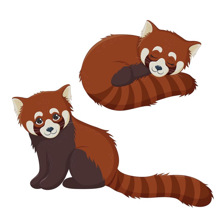 Vector pequeño pandapanda rojo, animales de china. panda rojo lindo, sentado y durmiendo. ilustración de vector eps10.
