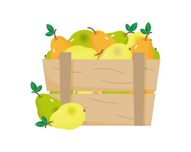 Peras maduras en una caja de madera concepto de tiempo de cosecha caja con peras amarillas y verdes frutas orgánicas