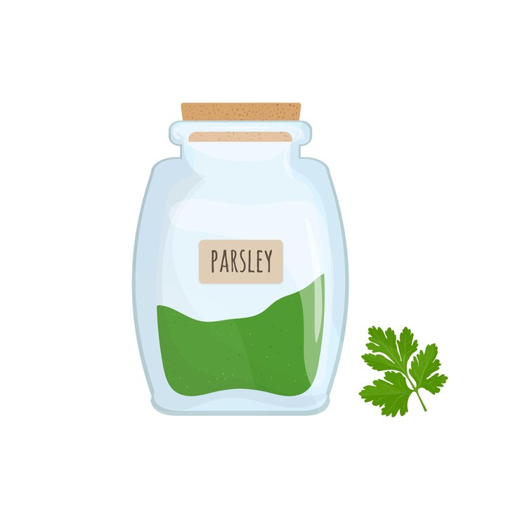 Vector perejil picado y seco almacenado en frasco de vidrio aislado sobre fondo blanco. hierba aromática, especia de comida sabrosa, ingrediente de cocina a base de hierbas en olla de cocina transparente. ilustración de vector plano colorido.