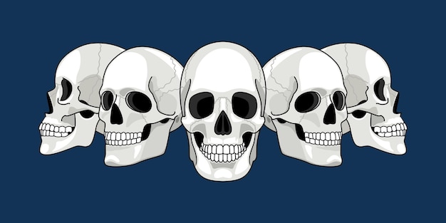 Vector perfil de la cabeza del cráneo. imagen de perfiles de cráneos humanos, huesos de scull frontales y laterales, caras de esqueleto, cabezas de hombre muerto de diferentes lados dibujo de dibujos animados ilustración vectorial