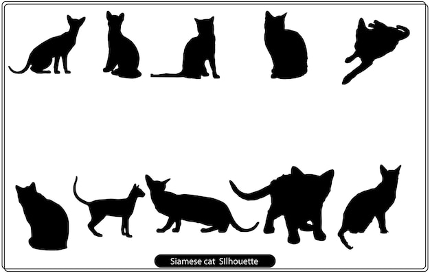 Perfil y cara de gato de silueta. El conjunto de vectores engendra la ilustración aislada del contorno.