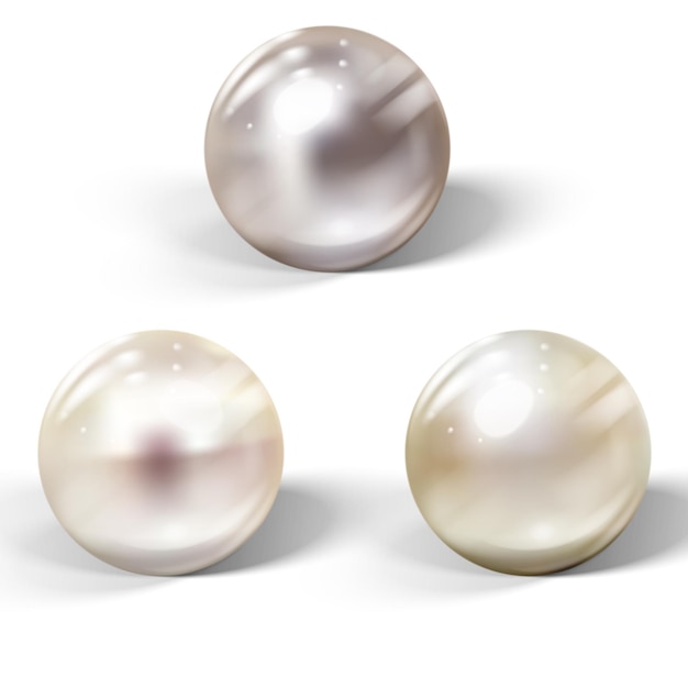 Perla de mar natural brillante realista con efectos de luz. Conjunto de vectores.
