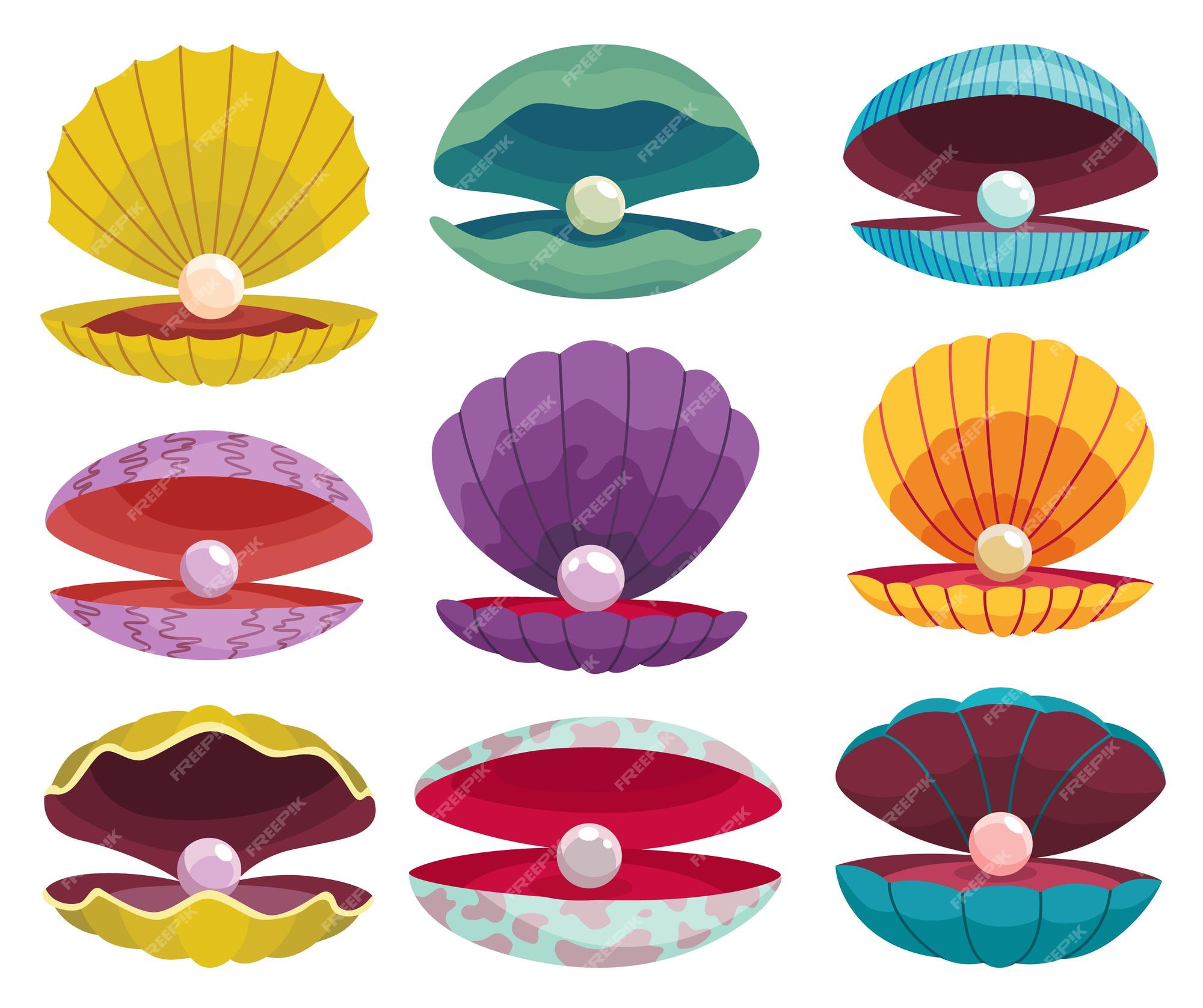 Perlas en concha marina vieira de concha abierta e icono de concha de perla  en varias formas y colores hermosa perla en concha de almeja en estilo  plano de dibujos animados ilustración