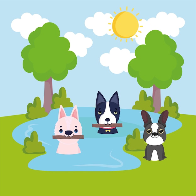 Vector perritos en el agua