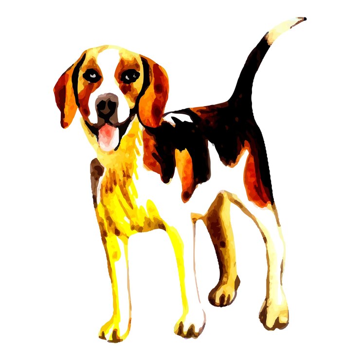 Vector perro acuarela beagle dibujado a mano