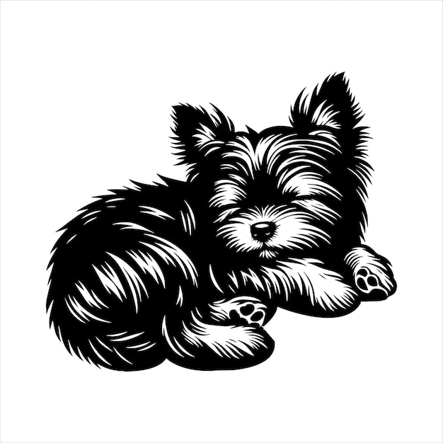 Perro Affenpinscher SVG