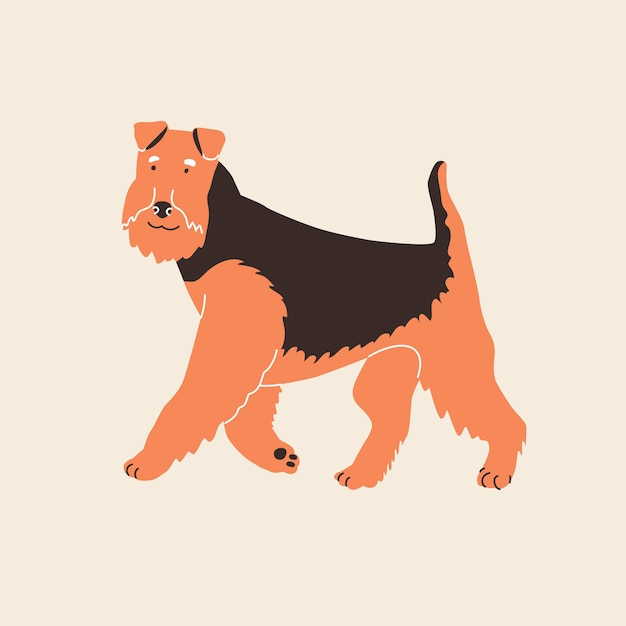 Perro Airedale. ilustración vectorial estilo plano. Aislado sobre fondo claro. Fanny animales, amante de los perros, panes, palmaditas en casa, amigo de cuatro patas. Diseño para pines, pegatinas, zoológico, tienda de mascotas.