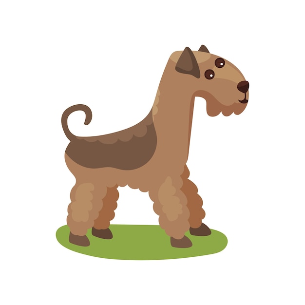 Perro Airedale, pie de animal doméstico de pura raza en vector colorido hierba verde ilustración sobre un fondo blanco
