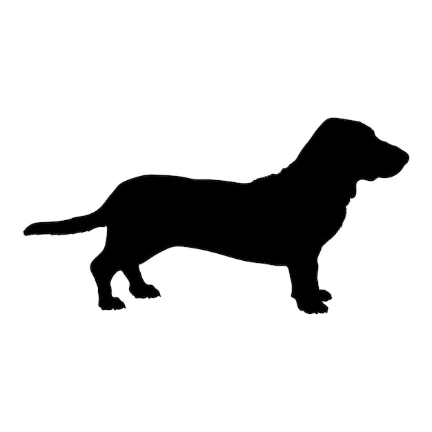 Vector el perro basset artesien normand silueta las razas de perros logotipo el vector del monograma del perro