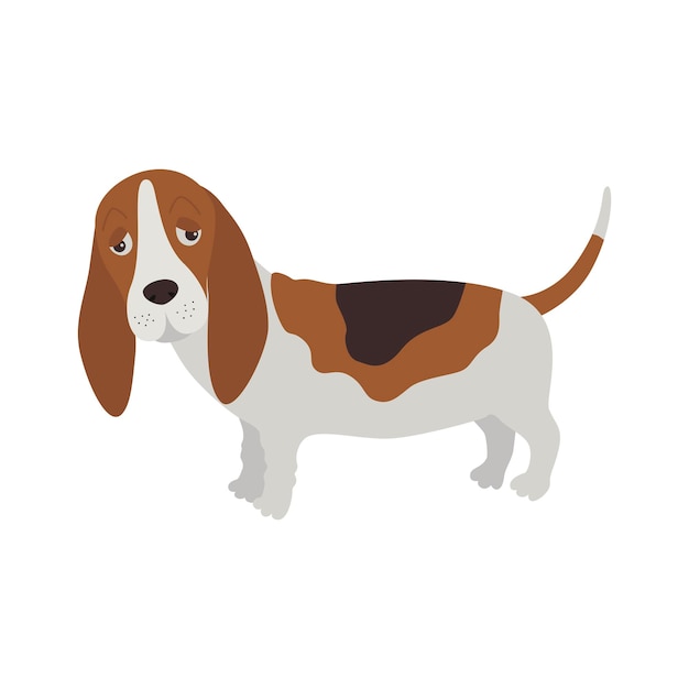 Vector perro basset hound