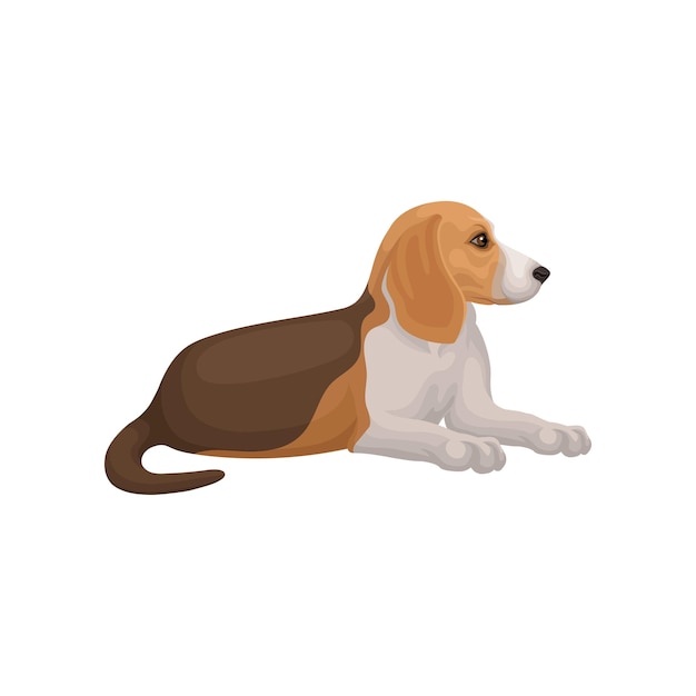 Vector perro beagle acostado aislado en fondo blanco vista lateral animal doméstico con pelo corto elemento gráfico decorativo para cartel o pancarta publicitaria de una clínica veterinaria icono vectorial plano colorido