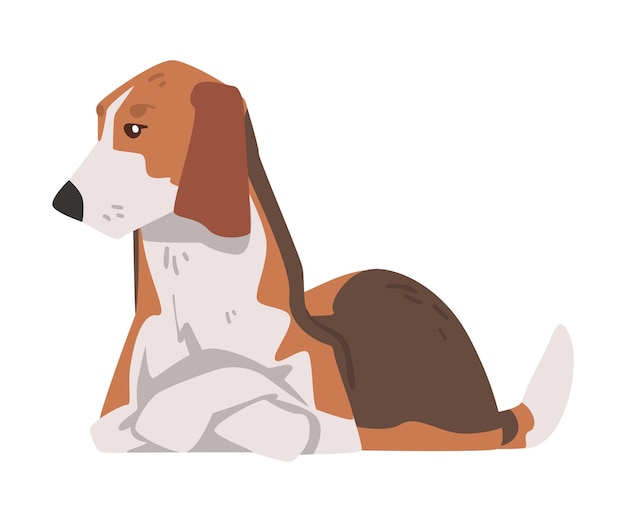 Perro Beagle Mentiroso Animales de compañía Perro de caza con pelaje blanco marrón y orejas largas Ilustración vectorial de dibujos animados de Beagle