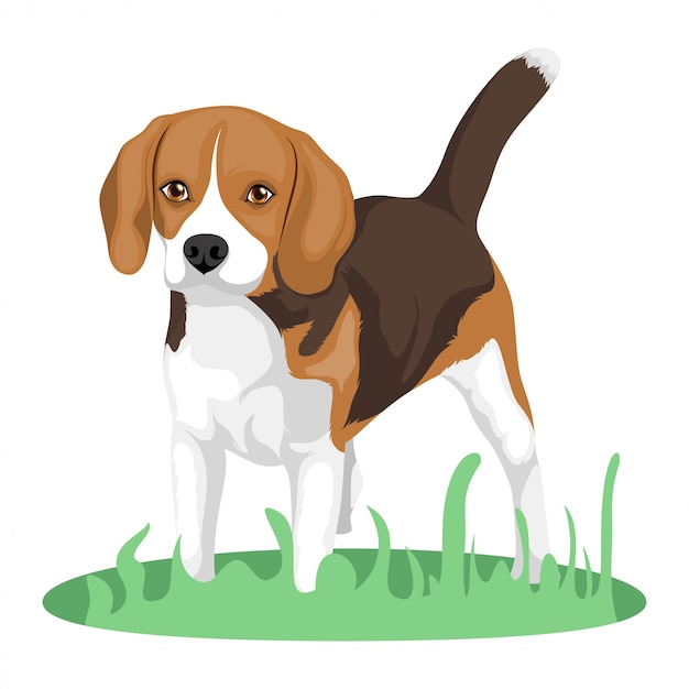 Vector perro beagle