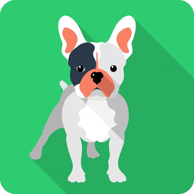 Perro bulldog francés clipart diseño plano