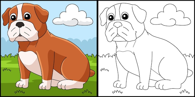 Perro Bulldog Página Para Colorear Ilustración Coloreada