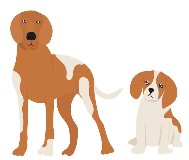 Perro y cachorro en vector de fondo blanco