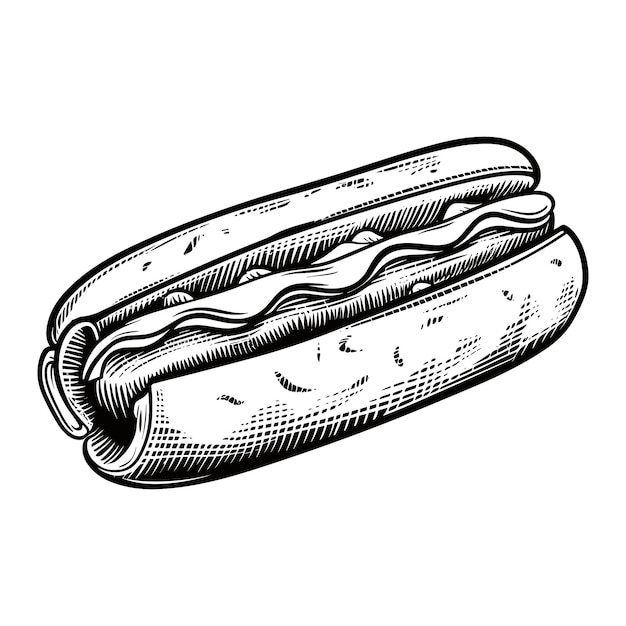 Perro caliente de comida rápida con salchicha y salsa grabado boceto ilustración vectorial