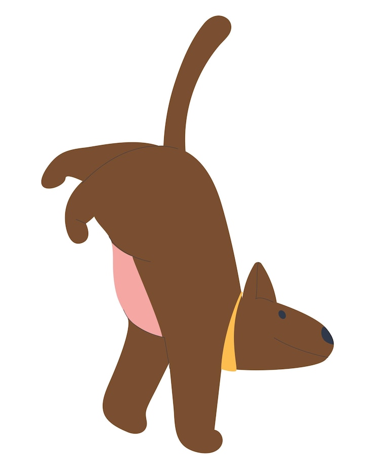 Vector el perro camina sobre sus patas delanteras entrenamiento y educación de mascotas ilustración vectorial plana eps10