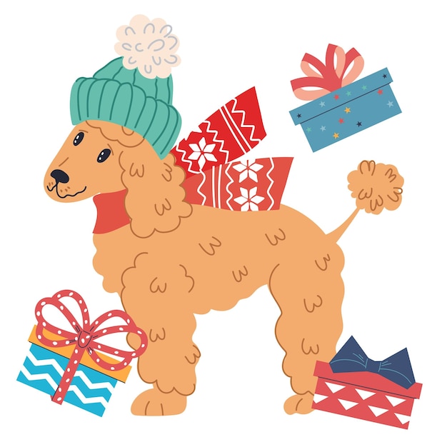 Vector perro caniche lindo en sombrero de invierno rodeado de regalos de navidad vector plano aislado