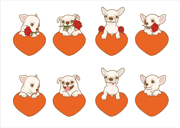 Perro chihuahua de dibujos animados con flor rosa roja con corazón Perro encantador enamorado en el día de san valentín