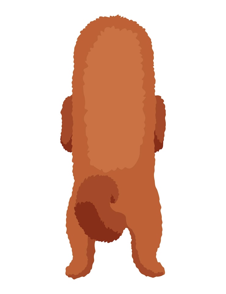 Vector perro colgado en la frontera cuerpo completo vista trasera diseño vectorial plano