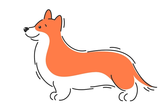 perro corgi