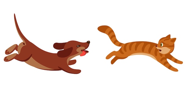 El perro corre tras el gato asustado.