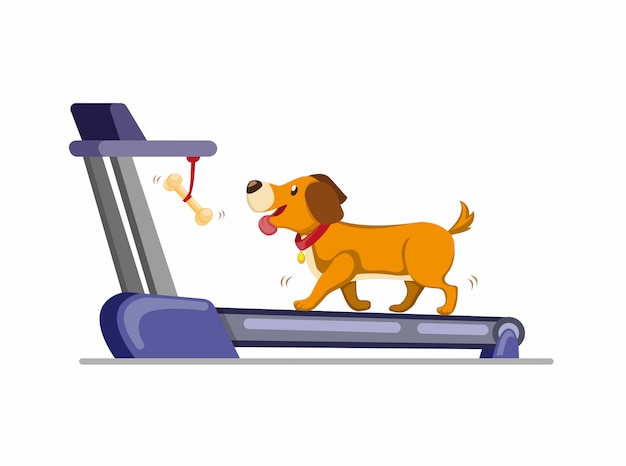 Perro corriendo en la cinta para obtener hueso. entrenar al perro para correr o caminar en casa. Ilustración plana de dibujos animados aislado en fondo blanco