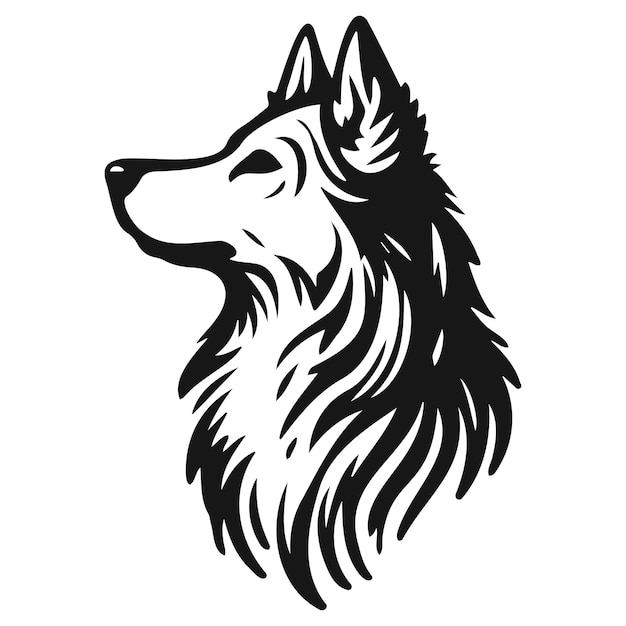 Perro_D