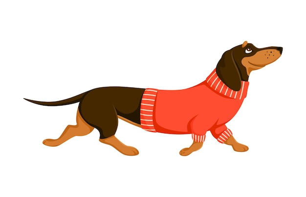 El perro Dachshund es un personaje de dibujos animados con suéter.