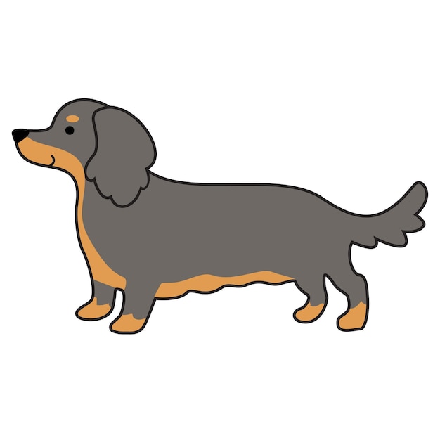 El perro Dachshund en el icono de color de pelo largo bluetan