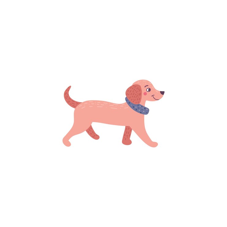 Vector perro dachshund. ilustración de animal de compañía.