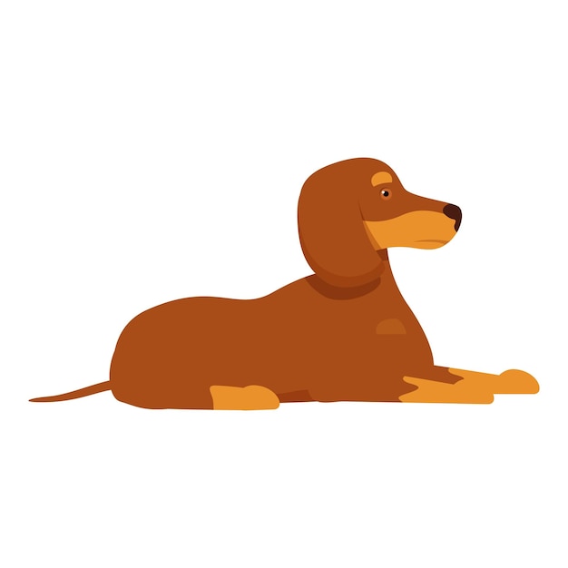 El perro dachshund marrón acostado mirando relajado