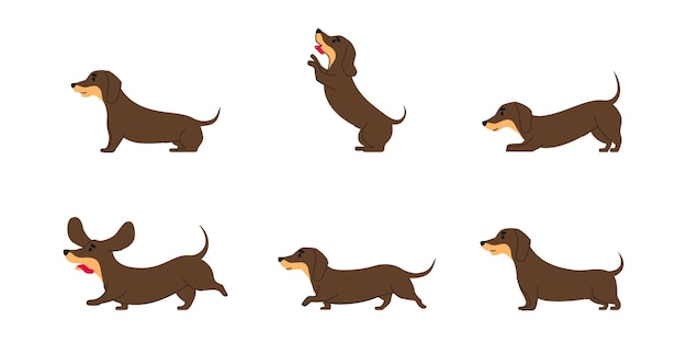 Vector perro dachshund varias poses gráfico de línea plana aislado