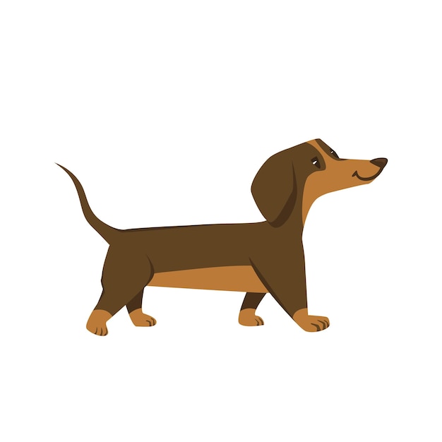 Perro Dachshund