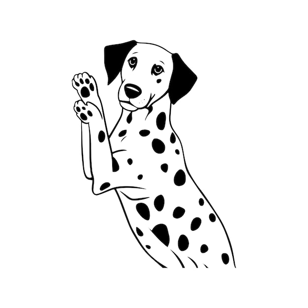 Perro dalmático Ilustración perro dalmático Vector perro dalmativo EPS perro dalmatio SVG dalmático