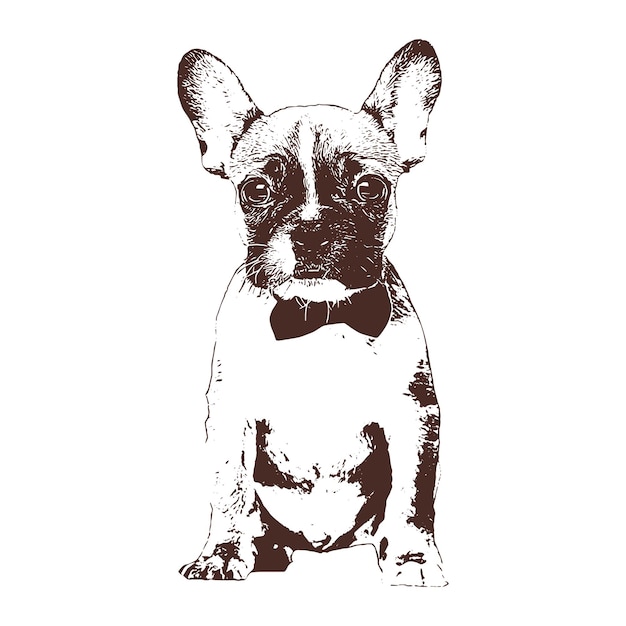 Vector perro dibujo vectorial ilustración grabado en blanco y negro ilustración aislada