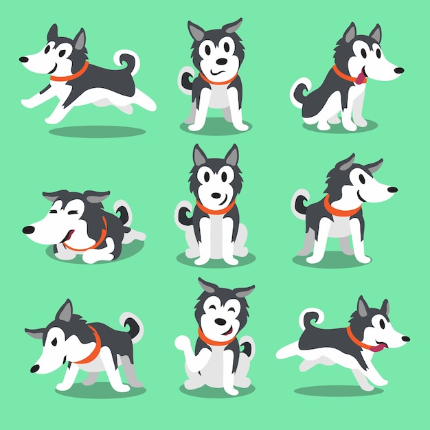 Perro de dibujos animados husky siberiano poses